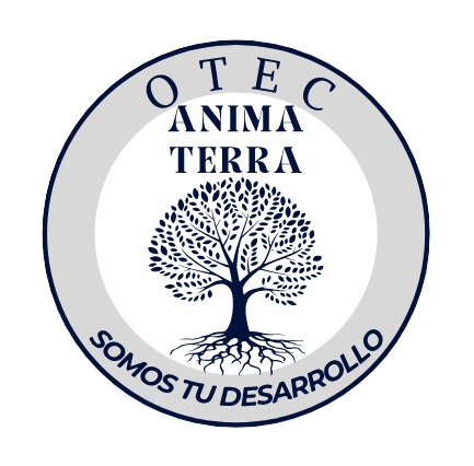 Aula Virtual